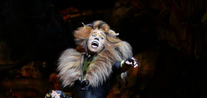 Musical Broadway na morzu