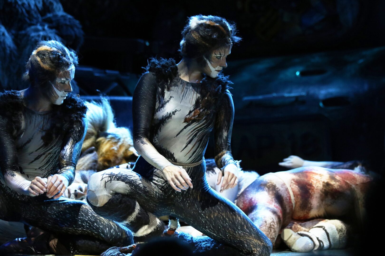 Musical Broadway na morzu Cats